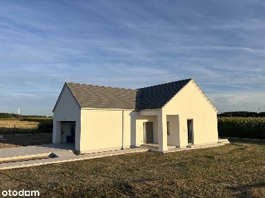 Nowy dom parterowy z wysokim salonem i kuchnią