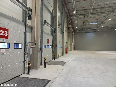 Hala magazynowa 10 000 m²/ Gdańsk Port