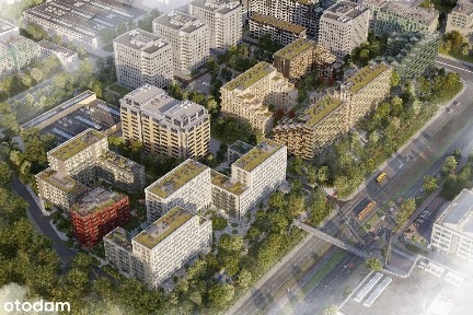 3 kawalerki w cenie jednego mieszkania