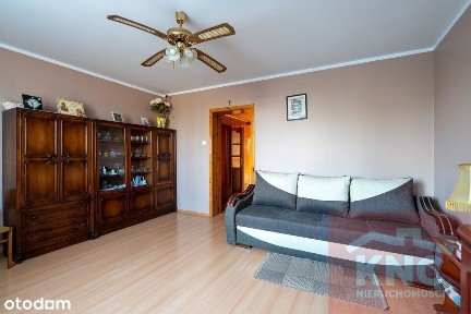 Pajęczno, pajęczański, łódzkie