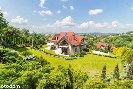 Las Wolski, Zwierzyniec, Kraków, małopolskie