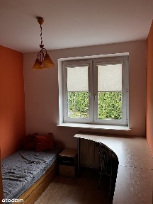 Piasta I, Białystok, podlaskie