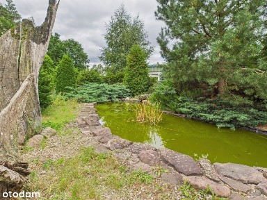 Rzepin, słubicki, lubuskie