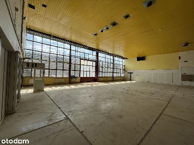 Powierzchnia magazynowa 332m2, widna, ciepła