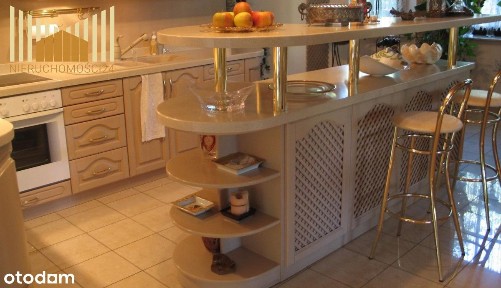 Piękna Willa Stary Anin