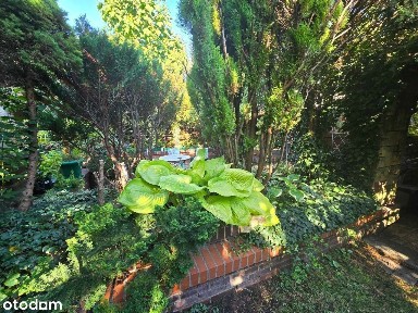 Lubin, lubiński, dolnośląskie