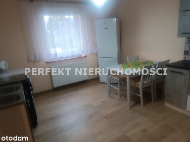 Koło zielonego lasu, 2pok,parter,ogródek