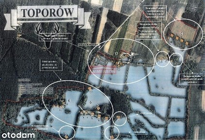Bosowice, Stopnica, buski, świętokrzyskie