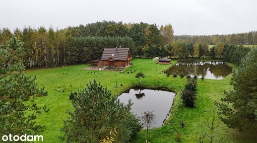 Posiadłość z bala, stawy, prywatny las!Jeziorak