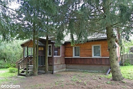 Ustronnie usytuowany drewniany dom w Białowieży.