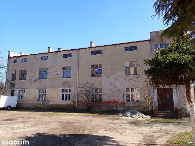 nieruchomość zabudowana w Ścinawie przy ul. T. Kościuszki 43