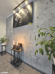 ul. Wiśniowa, Centrum, Zielona Góra, lubuskie