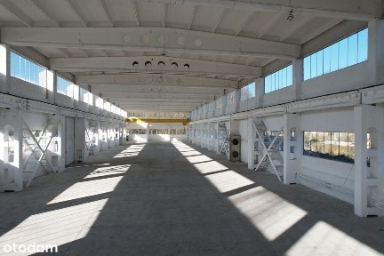 Hala, 1400m2, CO, 10t/m2, suw. 5T, plac 1ha
