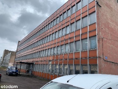 Koziny, Polesie, Łódź, łódzkie