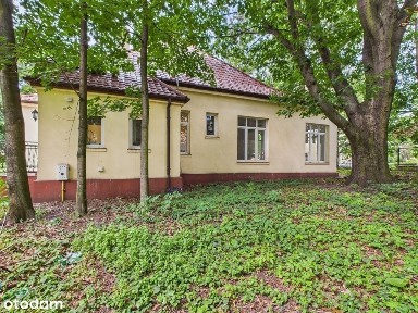 Kutno, kutnowski, łódzkie