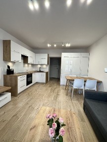 Katowice, Śródmieście, Plebiscytowa 24