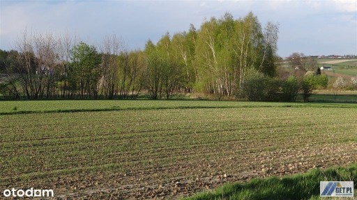 Smardzowice, Skała, krakowski, małopolskie