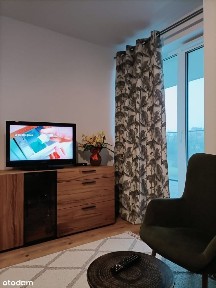 al. Aleja Marszałka Józefa Piłsudskiego, Kormoran, Olsztyn, warmińsko-mazurskie