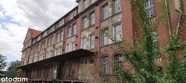 ul. Tadeusza Kościuszki, Września, wrzesiński, wielkopolskie