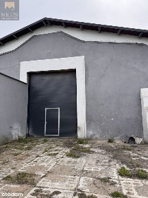 Piegłowo-Wieś, Szydłowo, mławski, mazowieckie