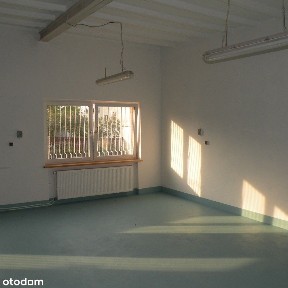 Przeźmierowo, Tarnowo Podgórne, poznański, wielkopolskie