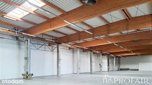 ul. Hutnicza, Chylonia, Gdynia, pomorskie