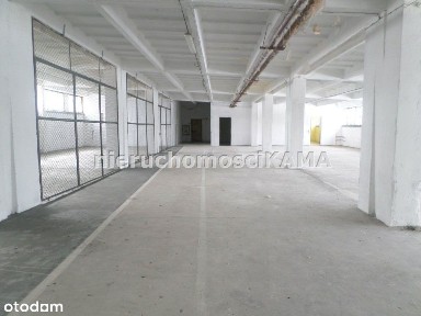 Hala/Magazyn, 550 m², Bielsko-Biała