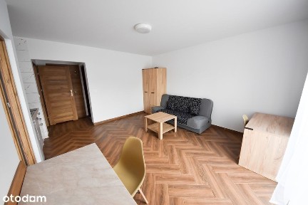 Śródmieście, Opole, opolskie