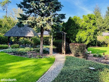 Jędrzychów, Zielona Góra, lubuskie