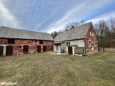 Borzym, Gryfino, gryfiński, zachodniopomorskie