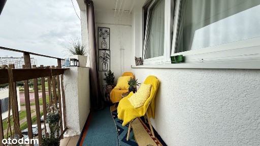 ul. Skalników, Polkowice, polkowicki, dolnośląskie