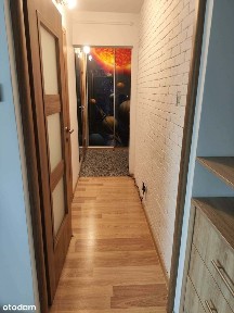 ul. Rojna, Teofilów, Bałuty, Łódź, łódzkie