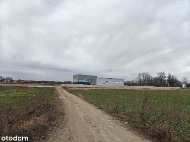 Nowa Wieś Kącka, Kąty Wrocławskie, wrocławski, dolnośląskie