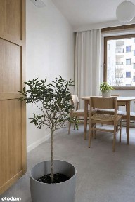 ul. Kościelna, Jeżyce, Poznań, wielkopolskie