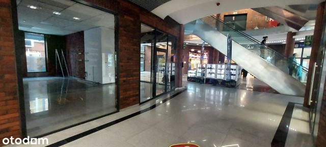 rynek Rynek, Nysa, nyski, opolskie