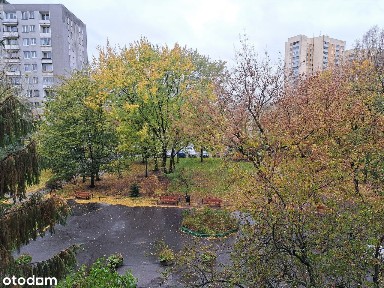 ul. Rembielińska, Bródno, Targówek, Warszawa, mazowieckie