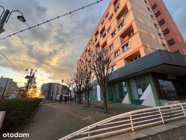 ul. Wolności 282, Śródmieście, Zabrze, śląskie