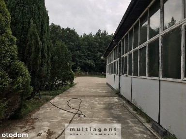 Siedlice, Police, policki, zachodniopomorskie