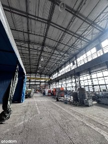 2 działki z 2 halami - W całości lub w częściach