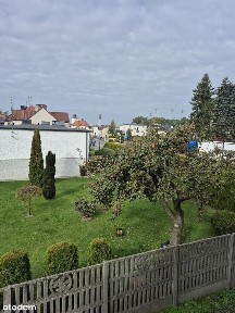 ul. Gliwicka, Sośnicowice, gliwicki, śląskie