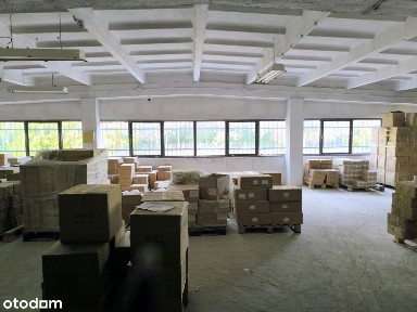 Śródmieście, Bytom, śląskie