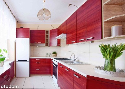 al. Aleja Sybiraków, Zatorze, Olsztyn, warmińsko-mazurskie