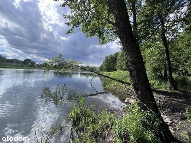Płonia-Śmierdnica-Jezierzyce, Prawobrzeże, Szczecin, zachodniopomorskie