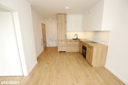 ul. Płochocińska, Szamocin, Białołęka, Warszawa, mazowieckie