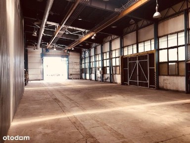 Olkusz, olkuski, małopolskie