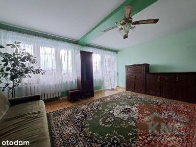 Bełchatów, bełchatowski, łódzkie