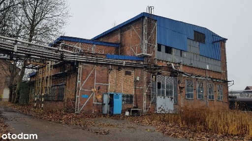 ul. Alojzego Pawliczka 1, Centrum Południe, Zabrze, śląskie