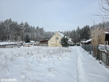 ul. Leśna, Odargowo, Krokowa, pucki, pomorskie
