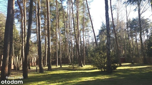 Przestronny dom Konstancin starodrzew