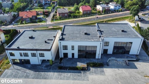 Armii Krajowej, Podlesie, Katowice, śląskie